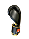 FIGHTBRO Champ Series Leather Boxing Gloves